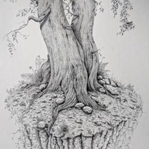 Fundamentals of Drawing with Ruth Little 01230406