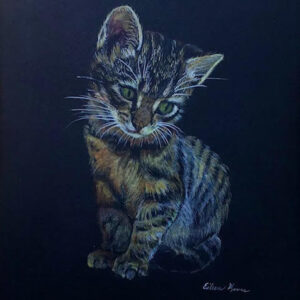 COLORED PENCIL ON BLACK PAPER Eileen Moore 10230422