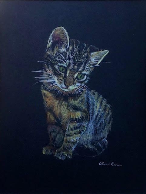 COLORED PENCIL ON BLACK PAPER Eileen Moore 10230422